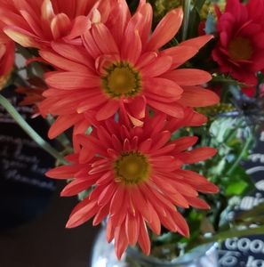 Meet your Posher, Connie